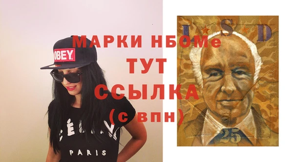 индика Богородск