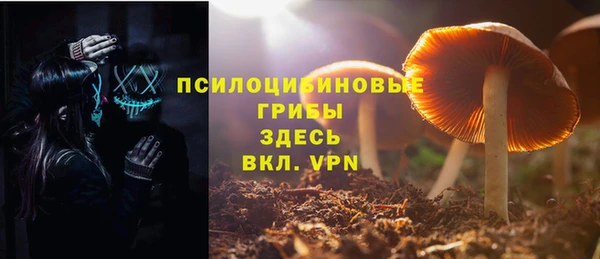 COCAINE Богданович
