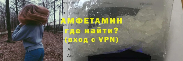 индика Богородск
