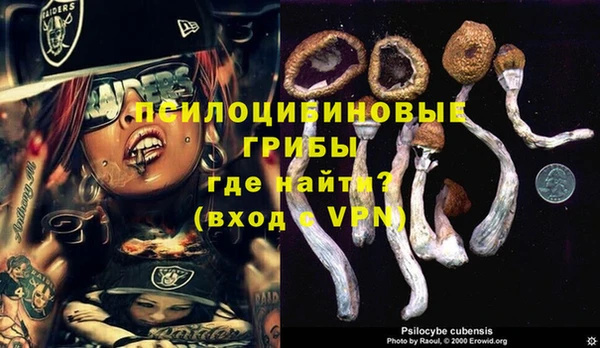 COCAINE Богданович
