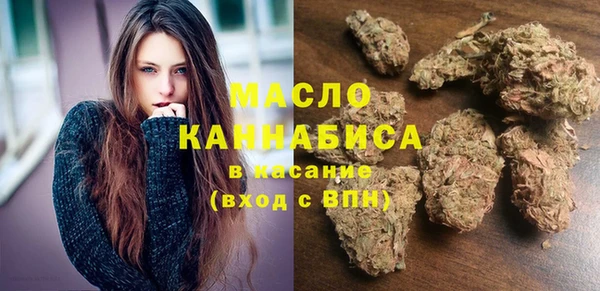 индика Богородск