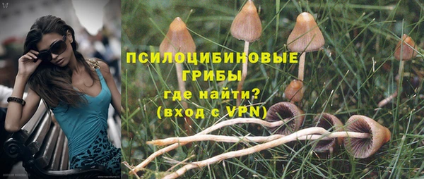 COCAINE Богданович