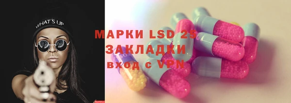 индика Богородск