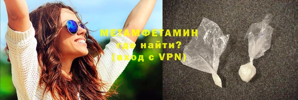 индика Богородск
