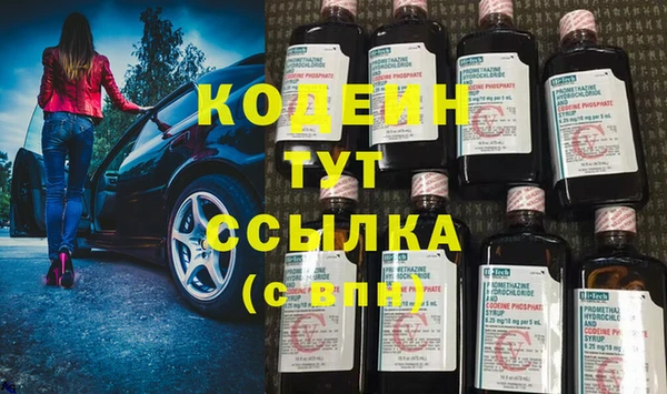 индика Богородск