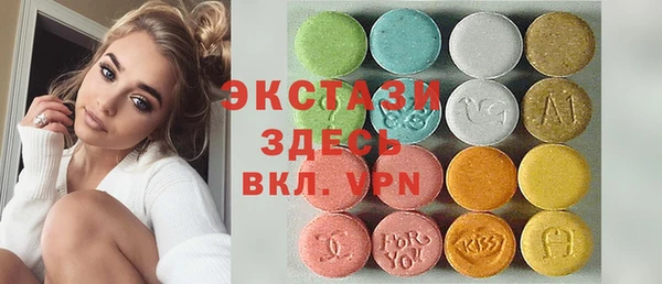 индика Богородск