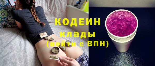 индика Богородск
