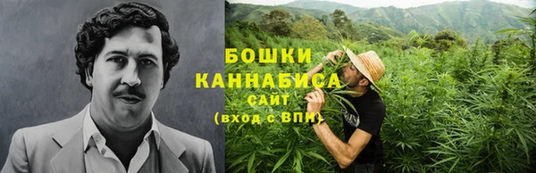 индика Богородск