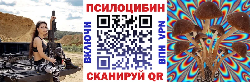Псилоцибиновые грибы мицелий  Дальнереченск 